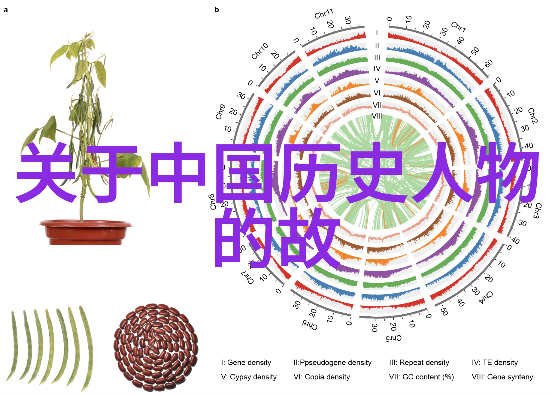 中国神话故事30篇穿越古今的奇幻之旅