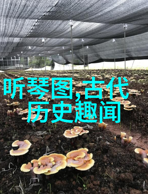 揭秘40种神秘任务背后的秘密是什么