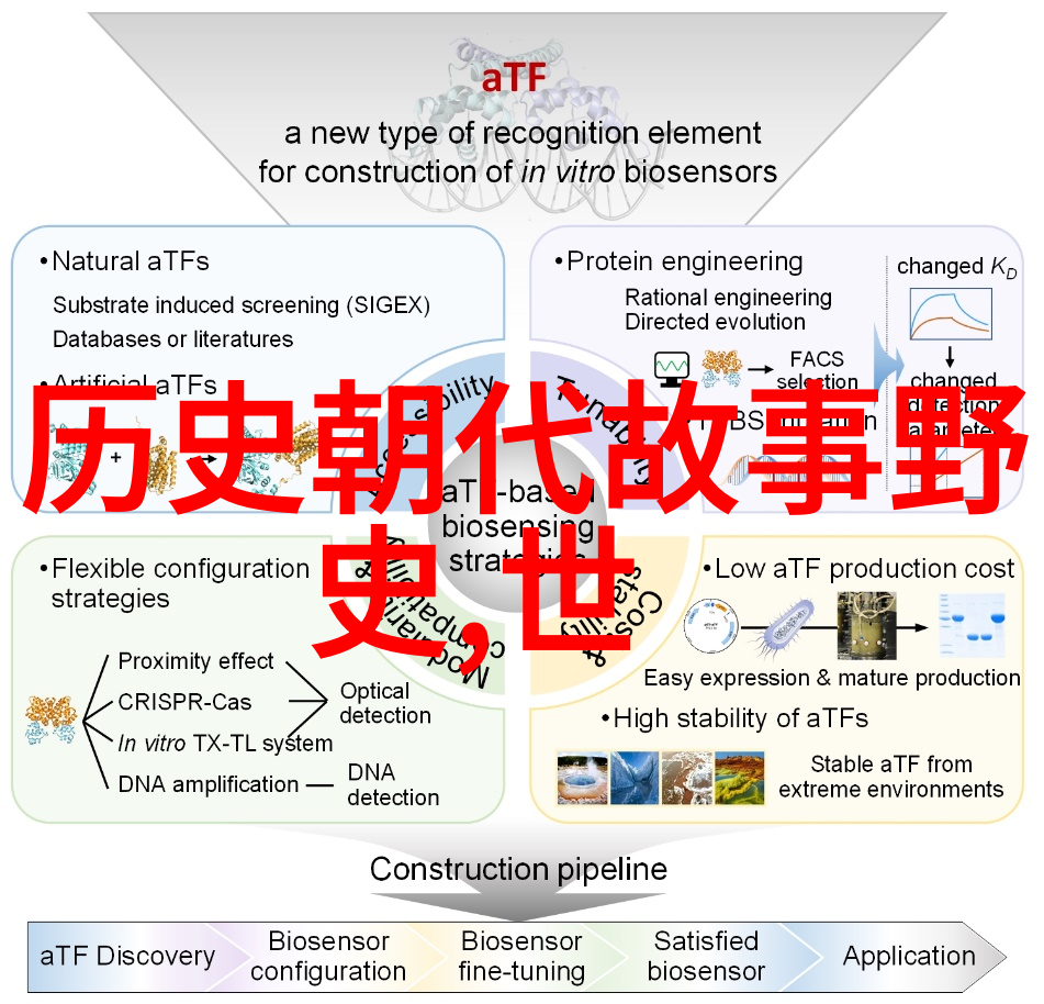 燃烧的火焰与守护的翅膀