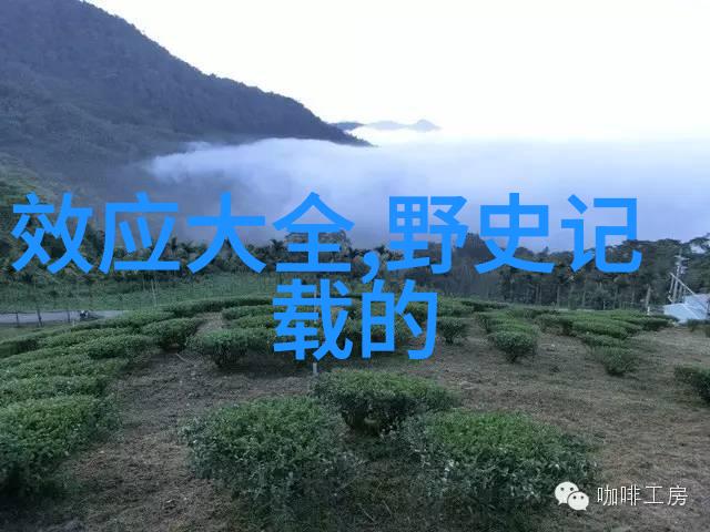 边缘知识在学术界人们对于哪些方面的野史兴味盎然