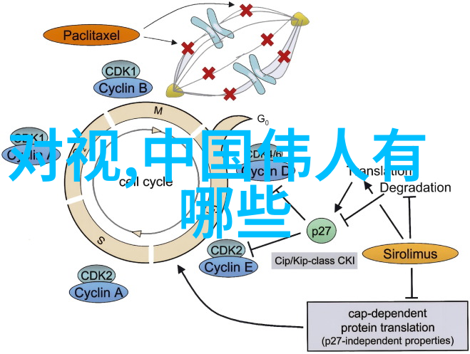 南宫复辟为何欧洲不敢与明朝抗衡