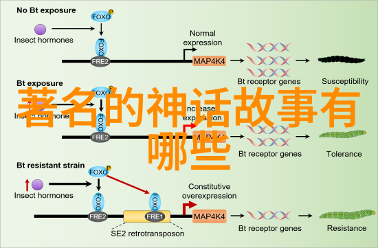 清朝乾隆雍正时期皇位继承之争帝位排位的变迁与权力斗争