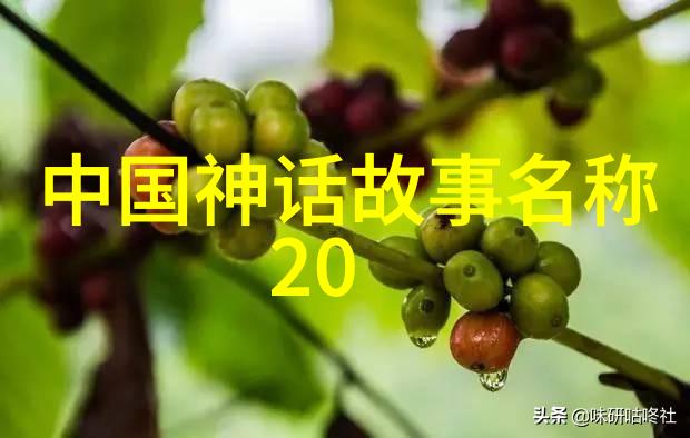 大叔的宝库隐藏在平凡背后的奇迹