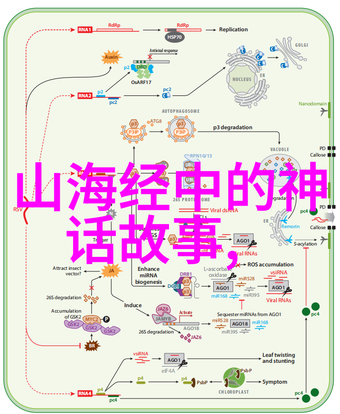 校园足球场上的青春盛宴体育节全记录