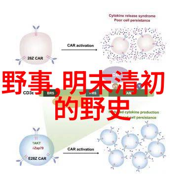 神话故事30篇龙之守护者与失落的宝藏