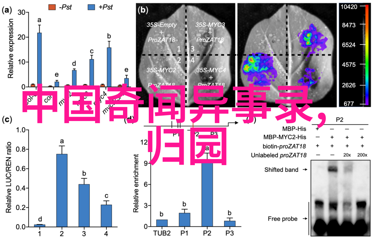 帝国野史趣闻录揭秘古代帝王隐私故事