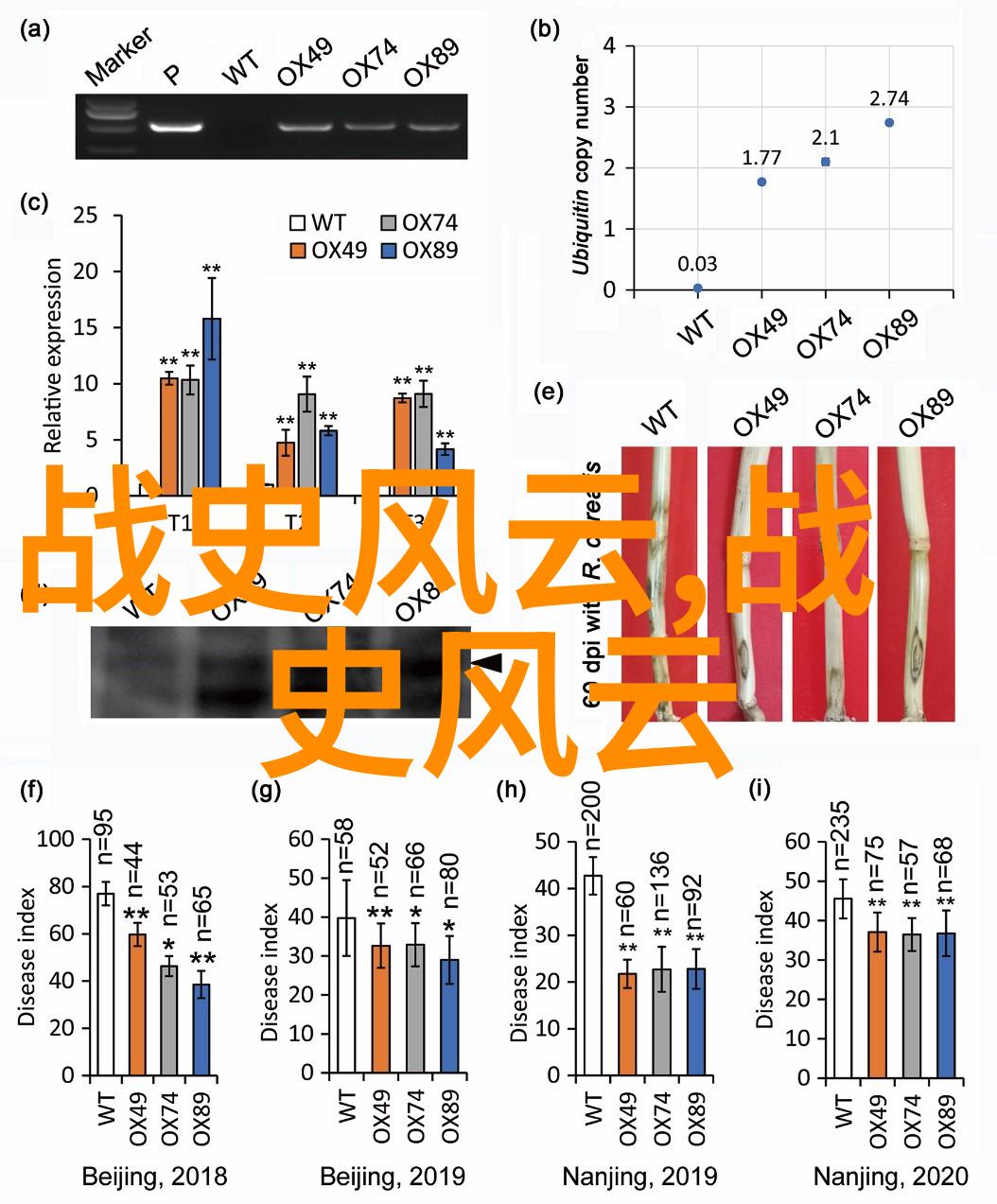 时空之弦苍穹下的轮回交响曲