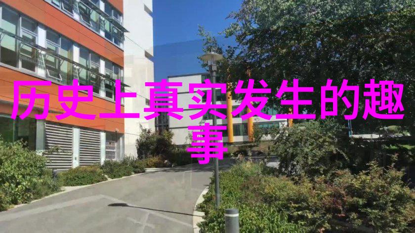 追学者们的故事中国历史网如何激发对过去的兴趣