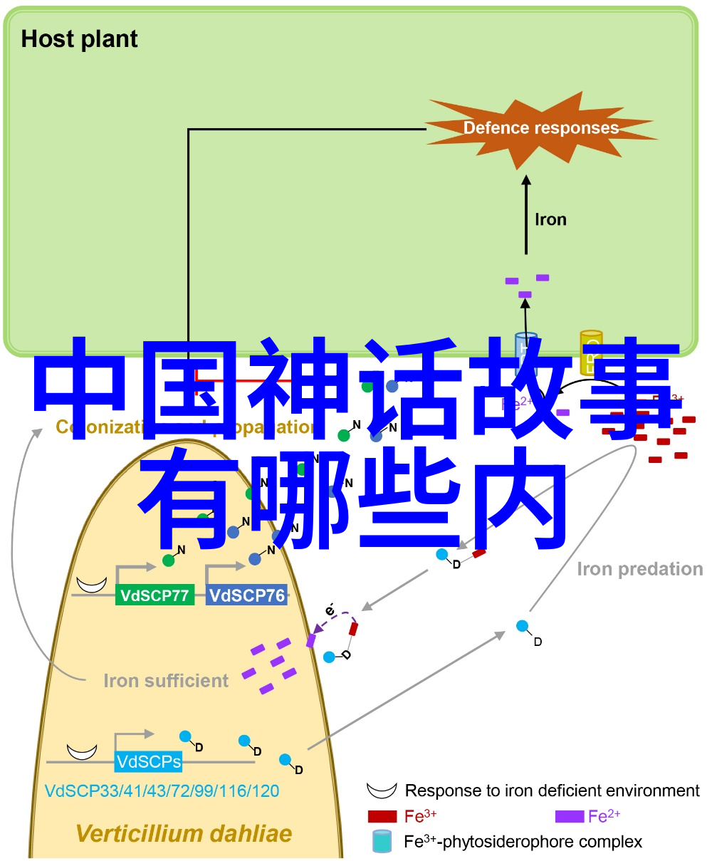 民族文化中的神话世界探索其深远意义