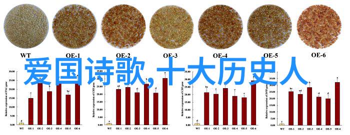 无限免费动漫狂欢揭秘那些让你不花一分钱就能看遍所有番剧的神秘视频