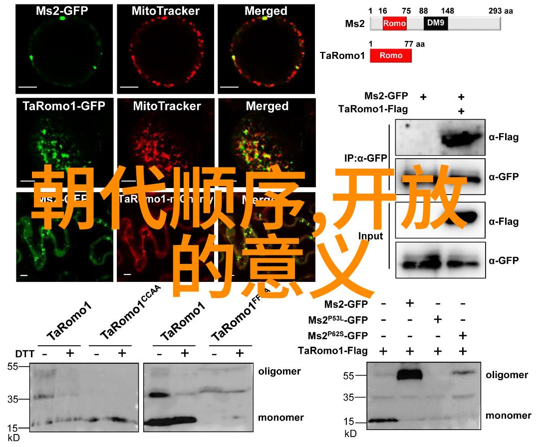 S8Sp海外视频-S8Sp探秘揭秘全球影视市场的热门趋势与挑战