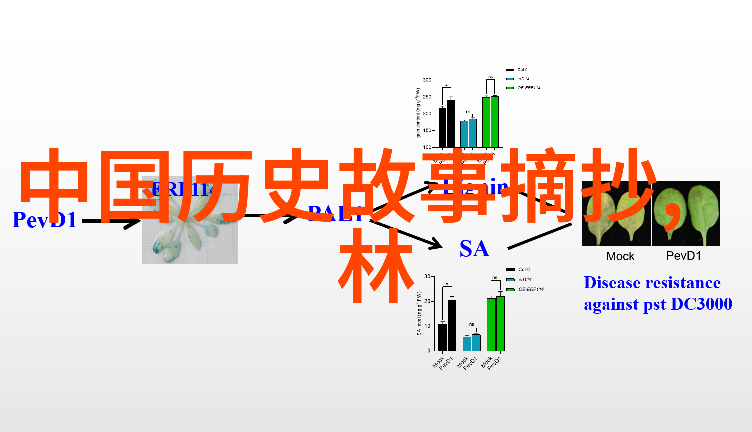 艺术大师 揭秘那些塑造了中华美术宝库的人物故事