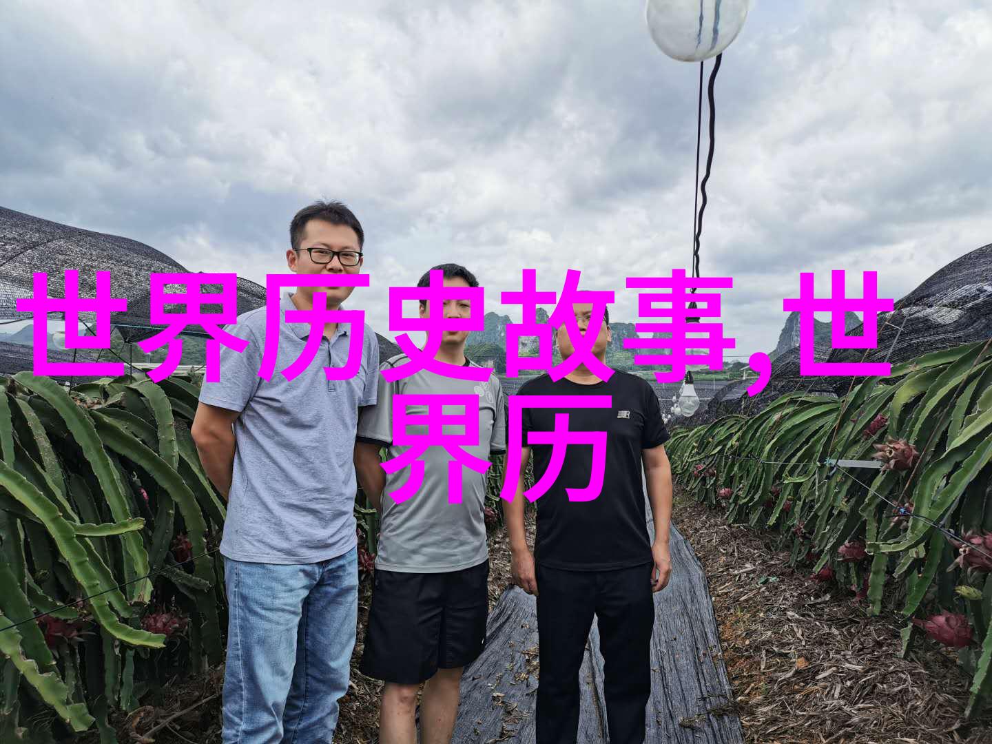 神兽朱雀之威揭秘其形象与故事背后的历史