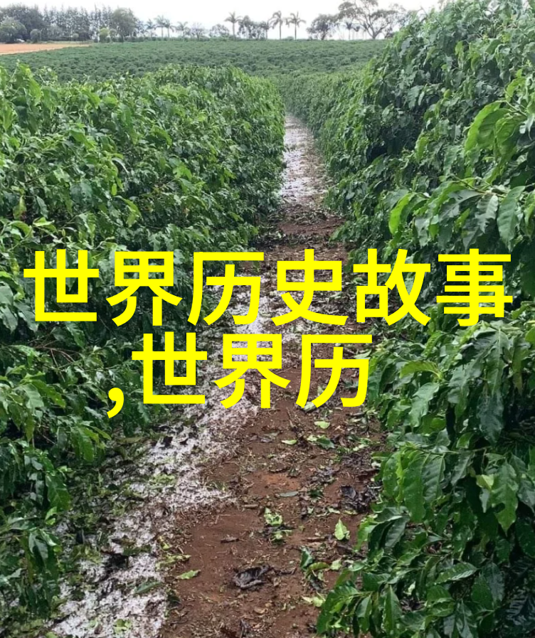 月下追梦织女与牛郎的爱情故事