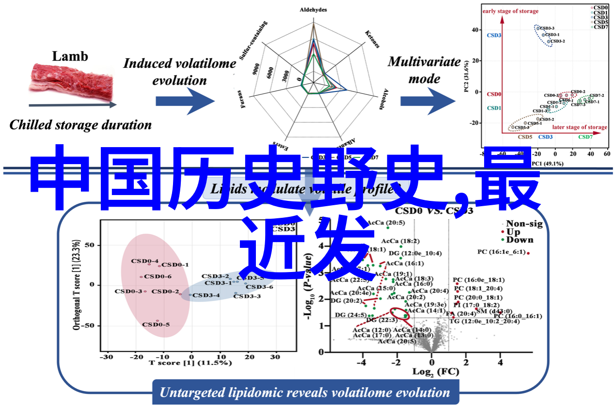 商代的兴衰与周王朝的建立