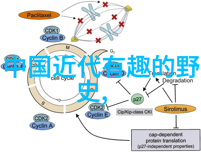 鸦片战争的落幕与太平天国的起义历史上的反差交响