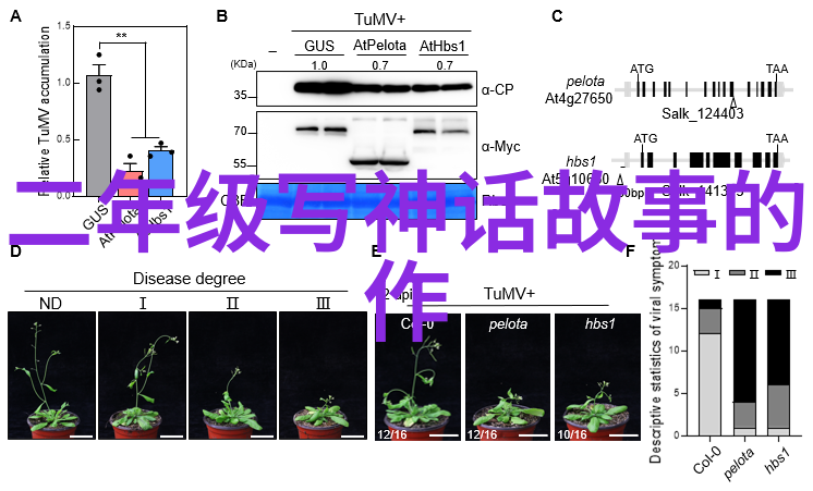 财神春花绽放的富贵与生机