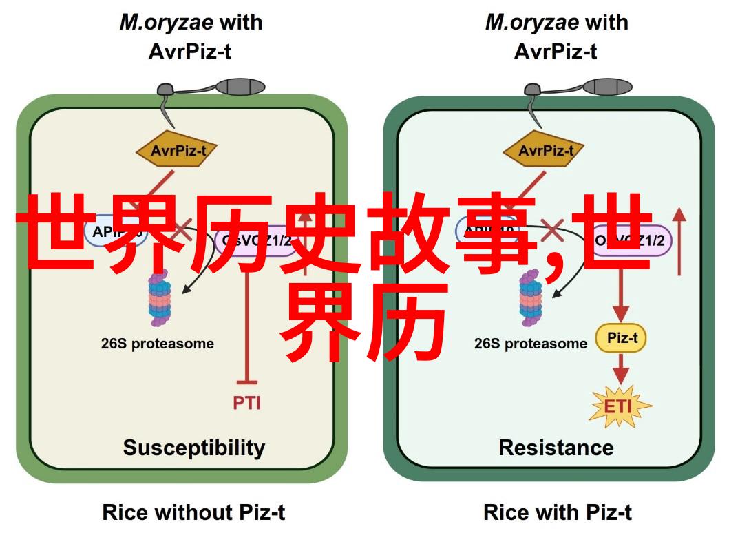 果实之妙一粒一滴的葡萄秘密