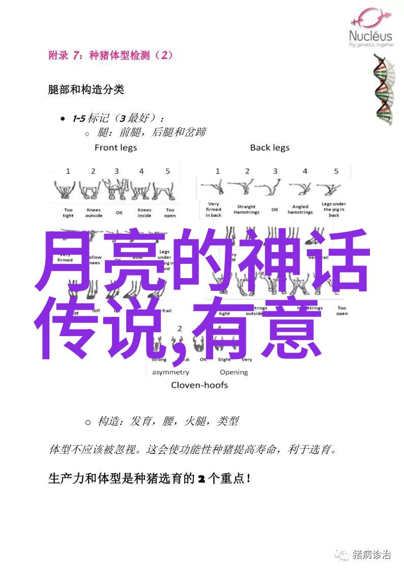 历史的回声中学生应该了解哪些古老故事