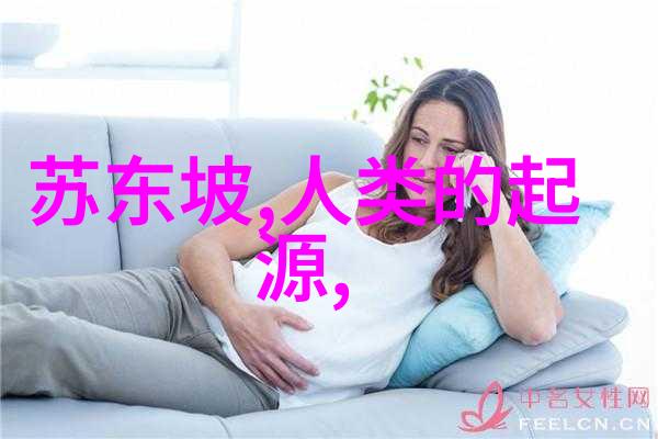 步步惊心2小说我的情深大仇记