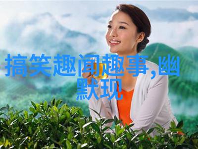 宋朝与明朝之间自然之中有范浩民的风云变幻