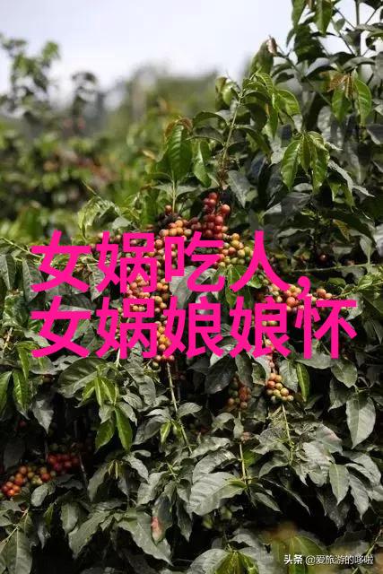 古今奇闻录笑傲江湖的书生巧妙逃税法则