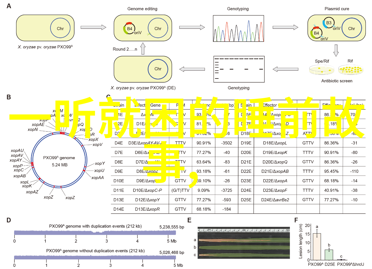 古希腊神话故事大全-奥林匹斯山上的神々一部古希腊神话故事大全