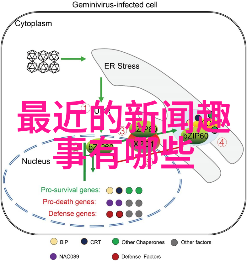 魔力森林里的小熊与月亮的秘密