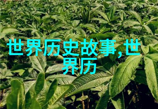 人文历史小故事我在古城墙上找到了时间的痕迹