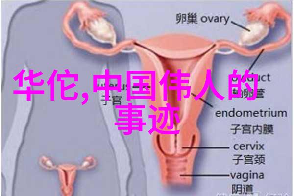 历史人物论文深度探究中国古代伟人思想史研究