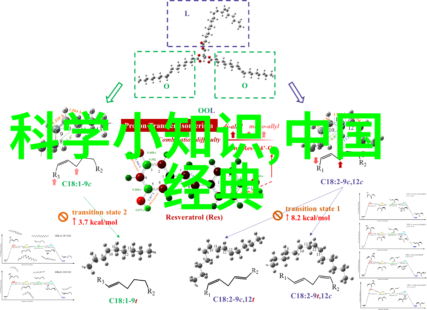 奇幻现象专区揭秘未解之谜