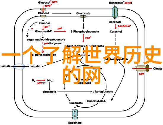 铁血记忆沉默的英雄