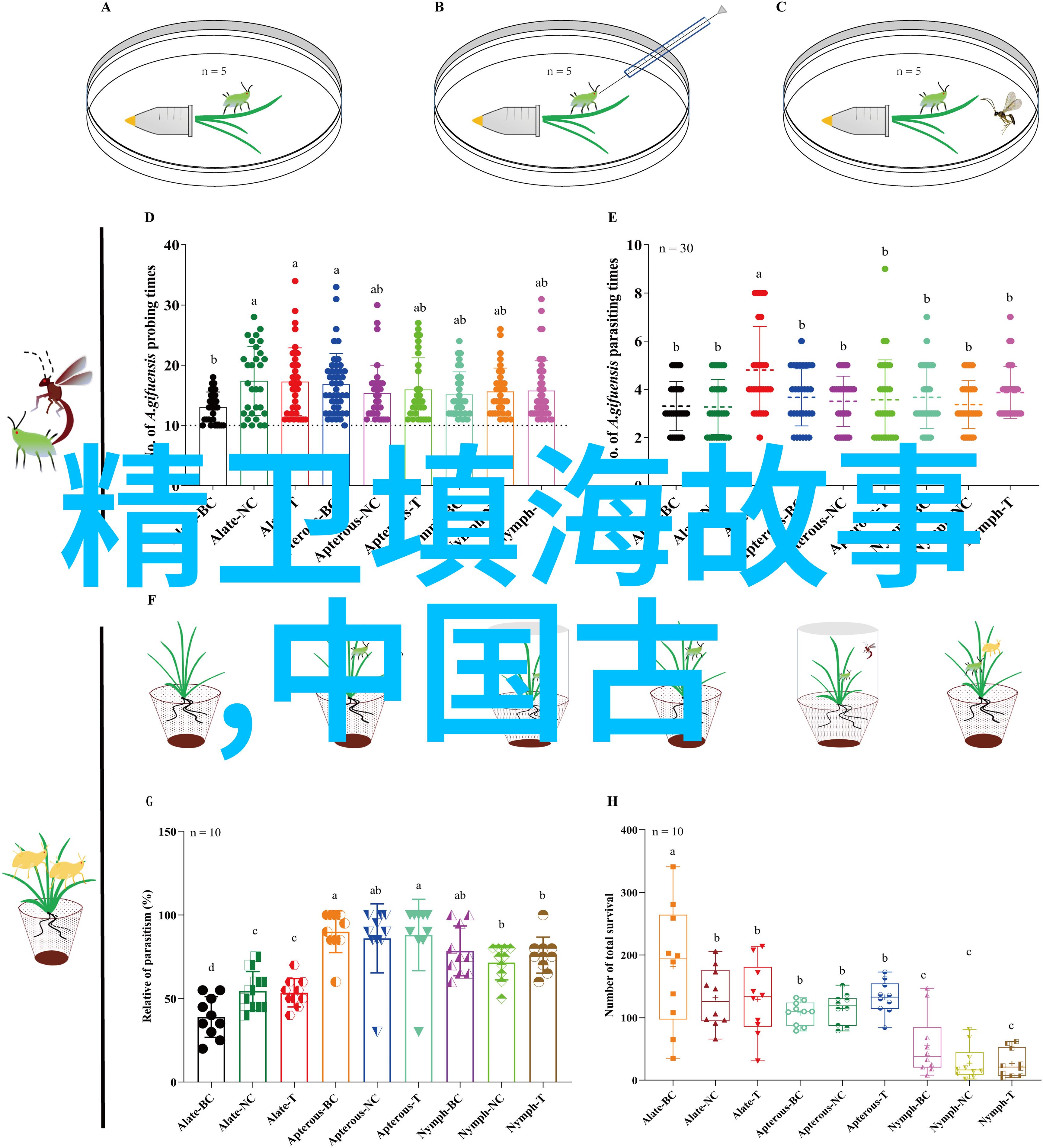 历史上的御驾亲征雄心49式动作中的帝王远征记